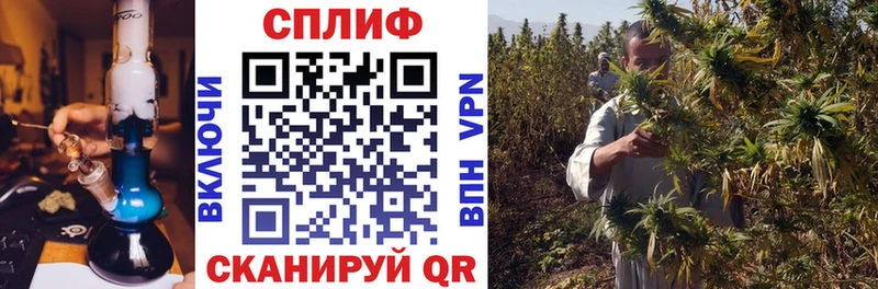 Купить наркотики цена Игра Alpha PVP КОКАИН Галлюциногенные грибы блэк спрут ССЫЛКА ГАШИШ МАРИХУАНА