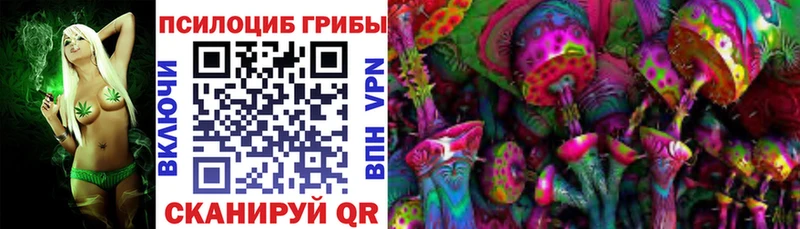 Псилоцибиновые грибы прущие грибы  kraken как войти  Игра  купить наркоту 